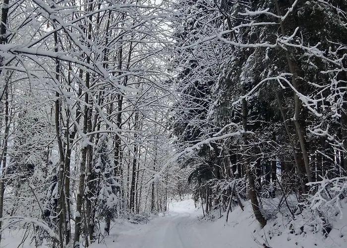 Bobinac Appartamento